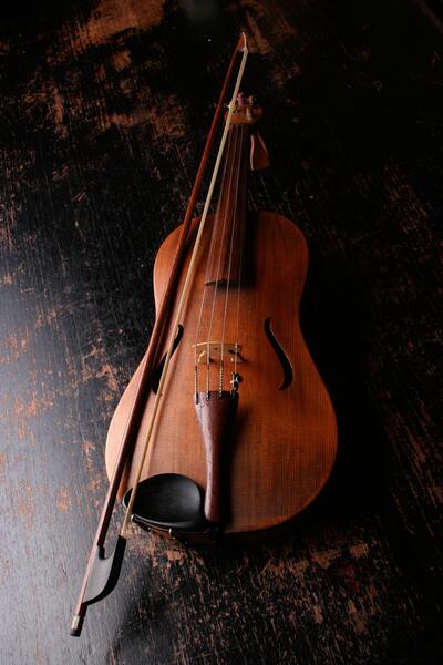 A beginner violin student learns note reading, rhythm, and technique. You will learn contemporary, classical, musical theatre, and jazz techniques.
