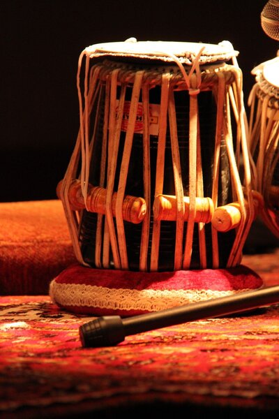 We teach you how to play the harmonium with percussion, rhythms, and wind instruments. With our diverse music lessons, you will learn to play ragas, bhajans, and melodies.